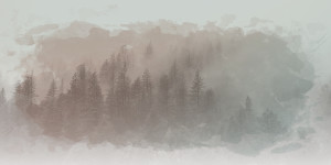Textured image of fog rolling through pines
