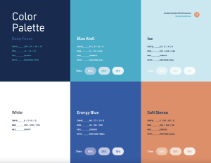 Screenshot of color palette from brand guidelines done for Outlast Health & Performance